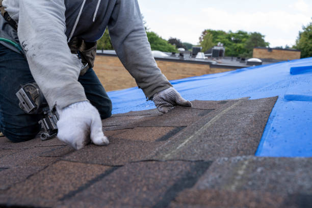 Best Roof Gutter Cleaning  in Pisgah, AL